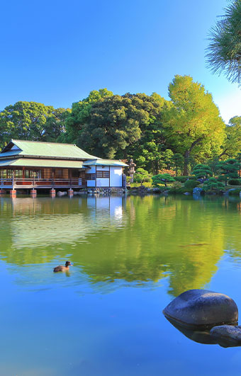 日本庭園 （清澄庭園）
